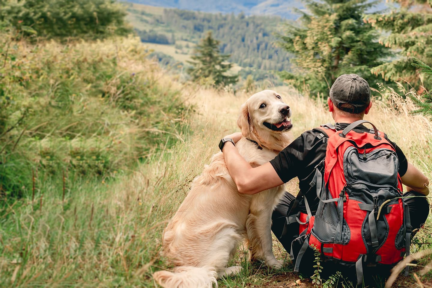 Veterinarian in Columbus, GA | Columbus Veterinary Medical Center